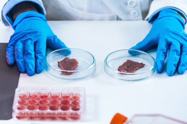 Cultured meat. Laboratory grown meat